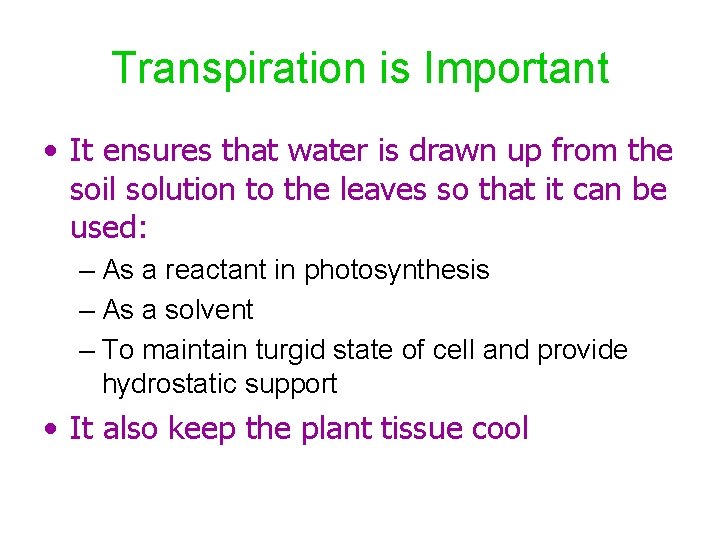 Transpiration is Important • It ensures that water is drawn up from the soil