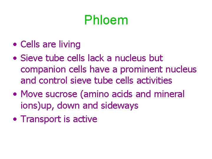 Phloem • Cells are living • Sieve tube cells lack a nucleus but companion