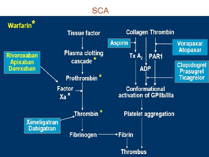 SCA 