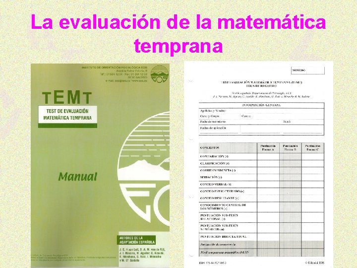 La evaluación de la matemática temprana 