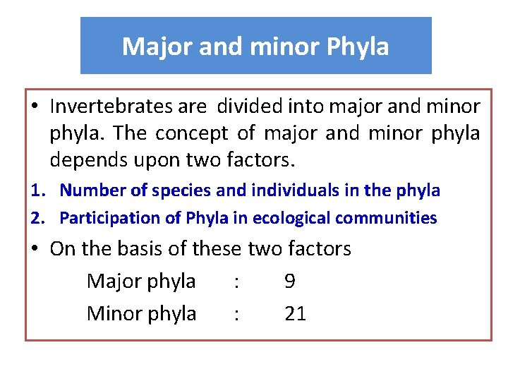 Major and minor Phyla • Invertebrates are divided into major and minor phyla. The