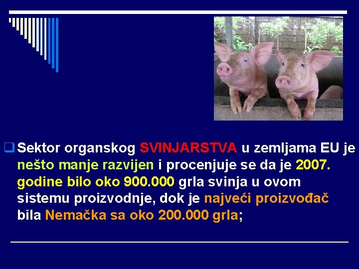 q Sektor organskog SVINJARSTVA u zemljama EU je nešto manje razvijen i procenjuje se