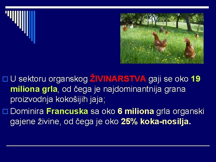 o U sektoru organskog ŽIVINARSTVA gaji se oko 19 miliona grla, od čega je