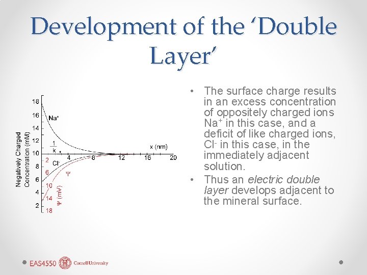 Development of the ‘Double Layer’ • The surface charge results in an excess concentration Development of the ‘Double Layer’ • The surface charge results in an excess concentration