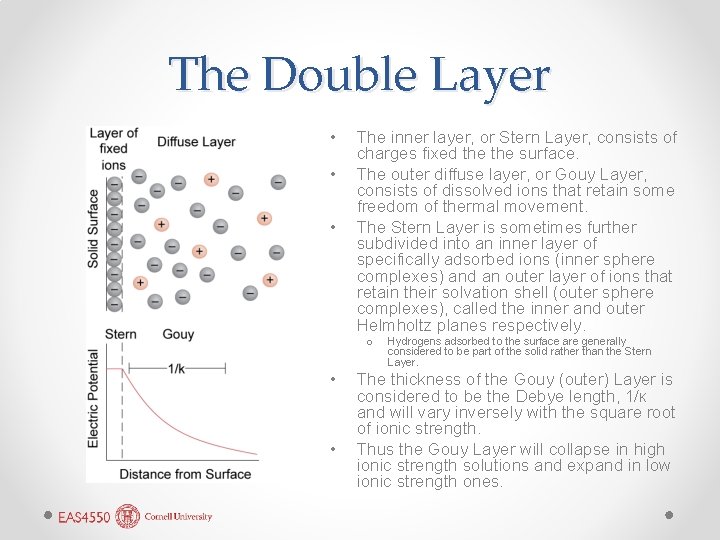 The Double Layer • • • The inner layer, or Stern Layer, consists of The Double Layer • • • The inner layer, or Stern Layer, consists of