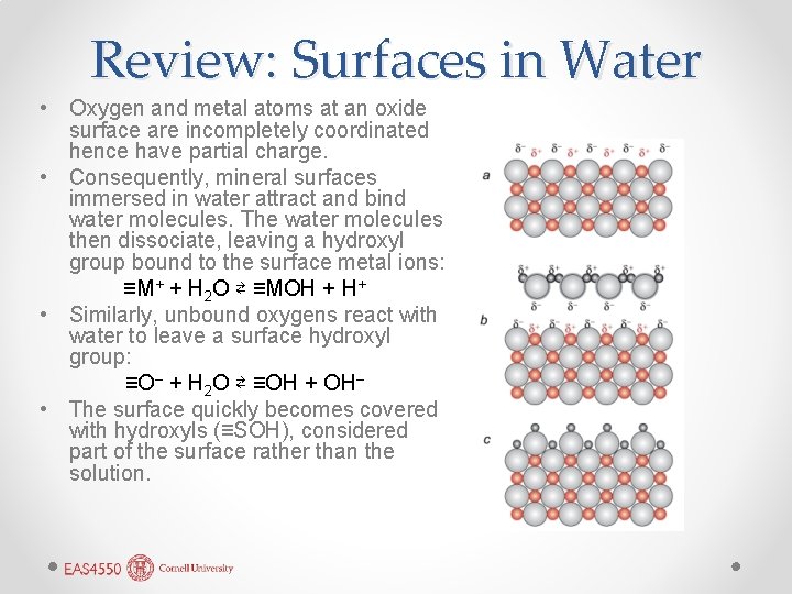 Review: Surfaces in Water • Oxygen and metal atoms at an oxide surface are Review: Surfaces in Water • Oxygen and metal atoms at an oxide surface are