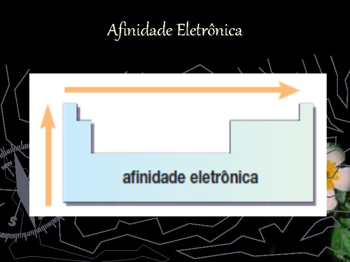 Afinidade Eletrônica 