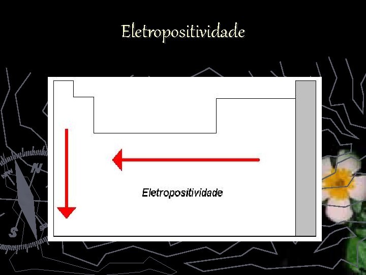 Eletropositividade 