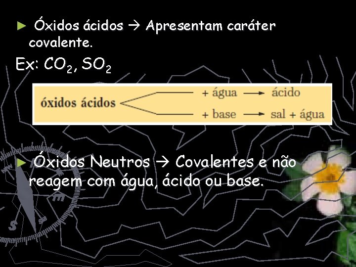 ► Óxidos ácidos Apresentam caráter covalente. Ex: CO 2, SO 2 ► Óxidos Neutros