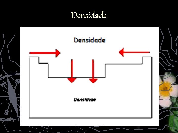 Densidade 