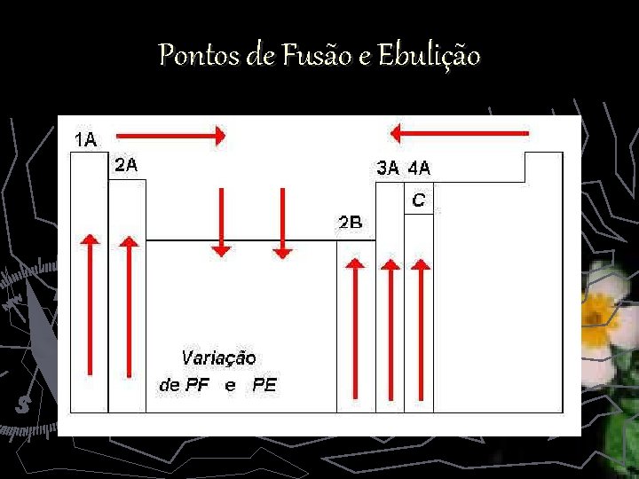 Pontos de Fusão e Ebulição 