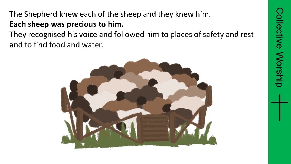 Collective Worship The Shepherd knew each of the sheep and they knew him. Each