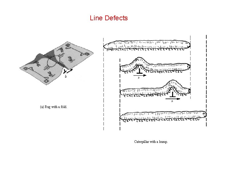 Line Defects (a) Rug with a fold. Caterpillar with a hump. 