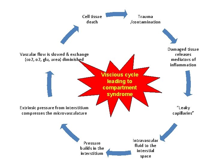 Cell tissue death Trauma /contamination Damaged tissue releases mediators of inflammation Vascular flow is