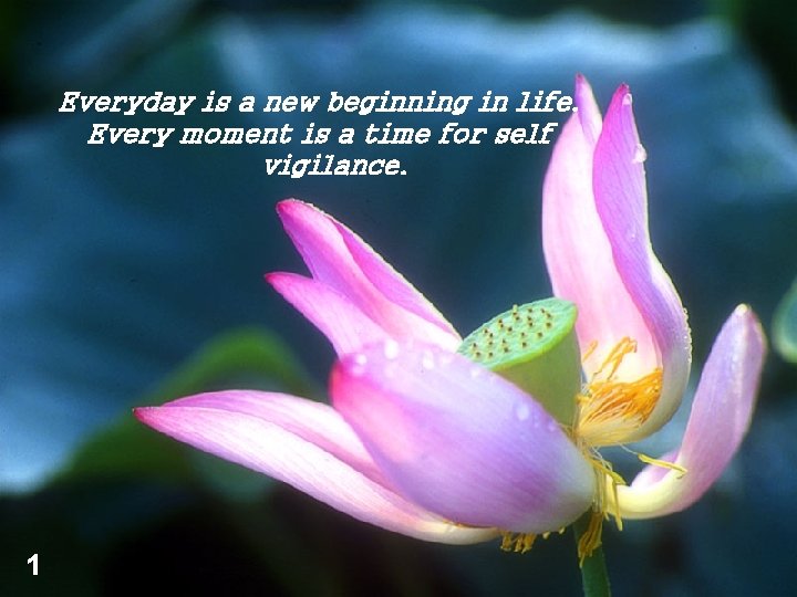 Everyday is a new beginning in life. Every moment is a time for self