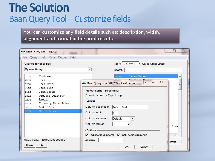 Baan Query Tool – Customize fields You can customize any field details such as:
