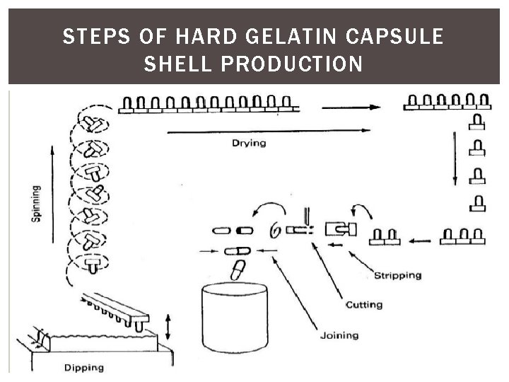 STEPS OF HARD GELATIN CAPSULE SHELL PRODUCTION 