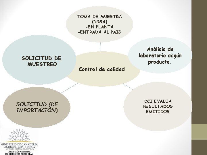 TOMA DE MUESTRA (DGSA) -EN PLANTA -ENTRADA AL PAIS SOLICITUD DE MUESTREO SOLICITUD (DE TOMA DE MUESTRA (DGSA) -EN PLANTA -ENTRADA AL PAIS SOLICITUD DE MUESTREO SOLICITUD (DE