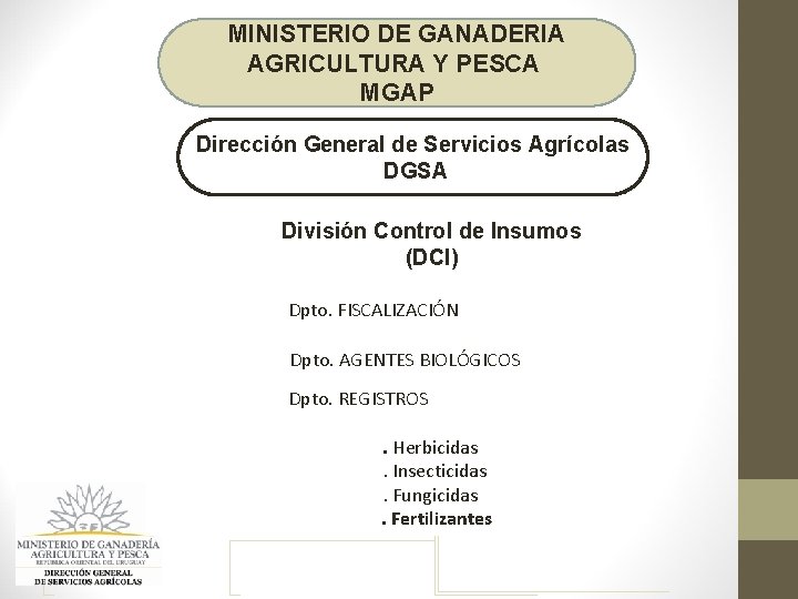 MINISTERIO DE GANADERIA AGRICULTURA Y PESCA MGAP Dirección General de Servicios Agrícolas DGSA División MINISTERIO DE GANADERIA AGRICULTURA Y PESCA MGAP Dirección General de Servicios Agrícolas DGSA División