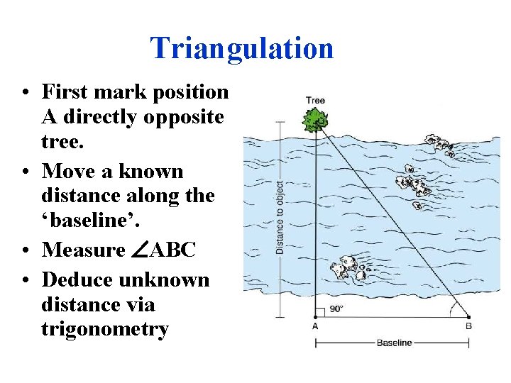 Triangulation • First mark position A directly opposite tree. • Move a known distance
