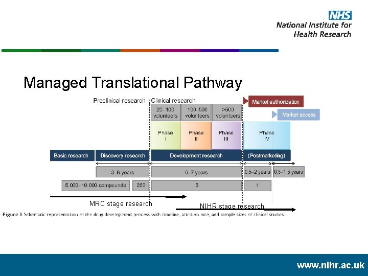 Managed Translational Pathway MRC stage research NIHR stage research www. nihr. ac. uk 