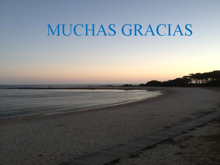 MUCHAS GRACIAS 
