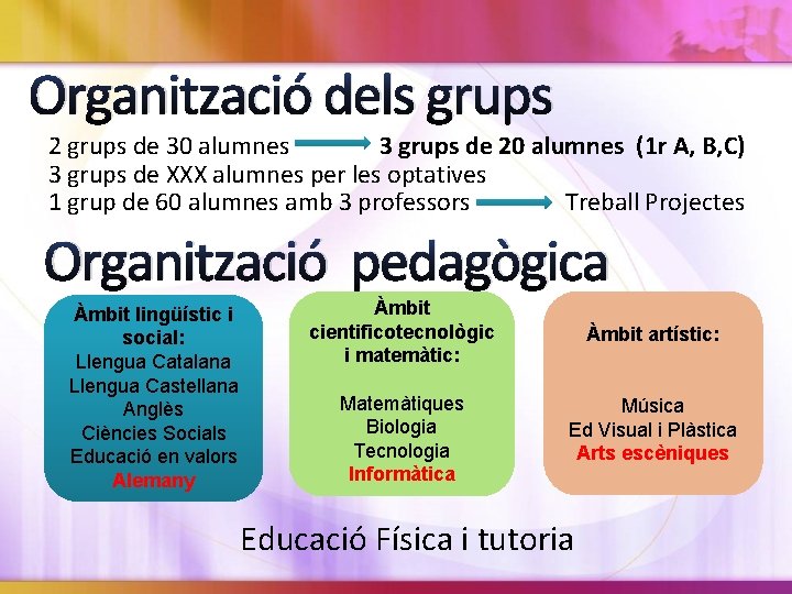 Organització dels grups 2 grups de 30 alumnes 3 grups de 20 alumnes (1