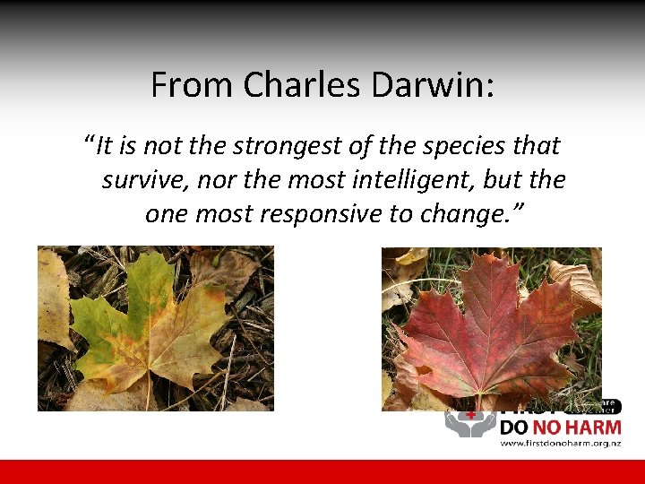 From Charles Darwin: “It is not the strongest of the species that survive, nor