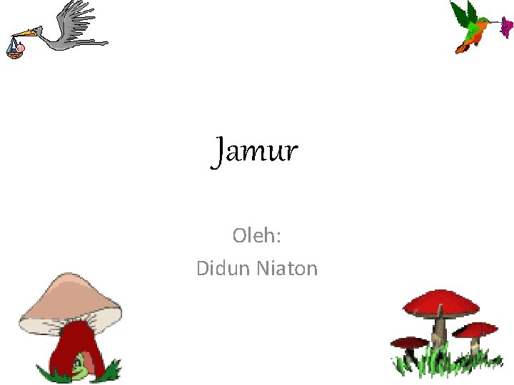 Jamur Oleh: Didun Niaton 