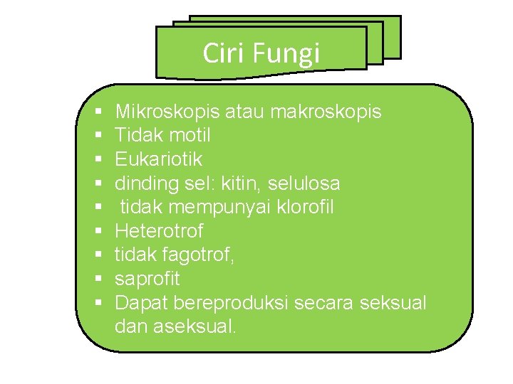 Ciri Fungi § § § § § Mikroskopis atau makroskopis Tidak motil Eukariotik dinding