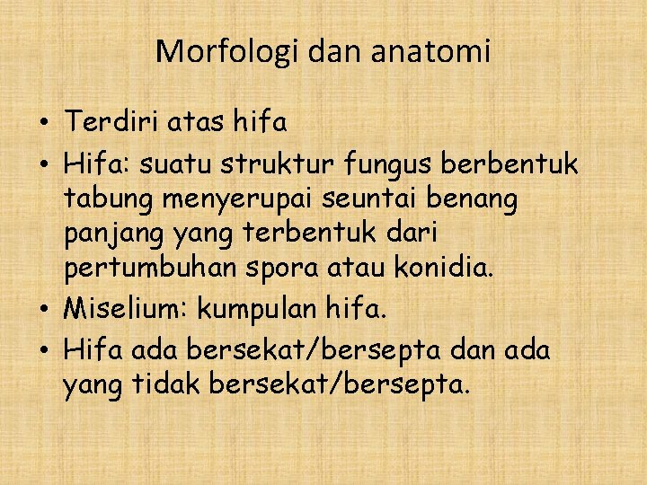 Morfologi dan anatomi • Terdiri atas hifa • Hifa: suatu struktur fungus berbentuk tabung