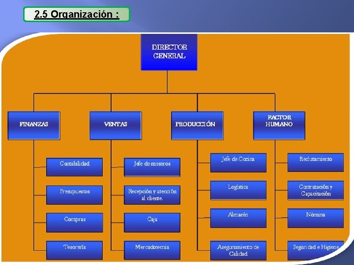 2. 5 Organización : 