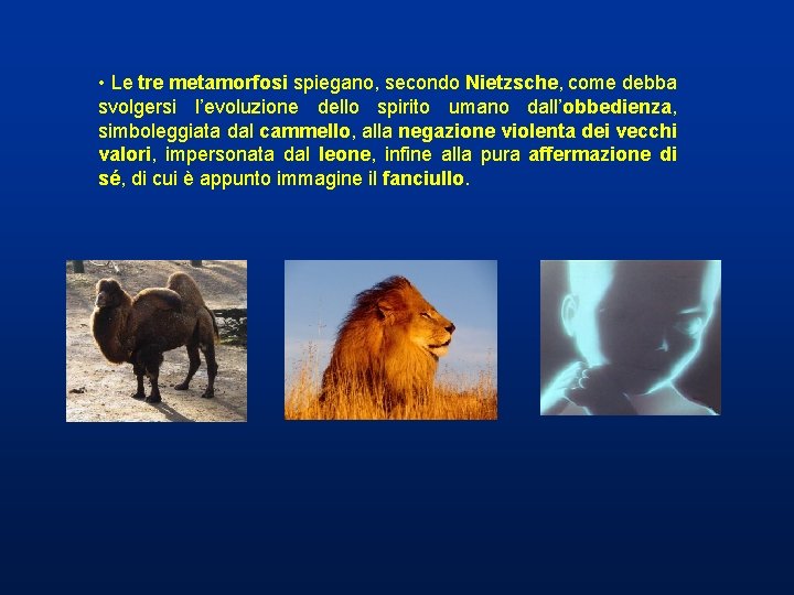 • Le tre metamorfosi spiegano, secondo Nietzsche, come debba svolgersi l’evoluzione dello spirito • Le tre metamorfosi spiegano, secondo Nietzsche, come debba svolgersi l’evoluzione dello spirito