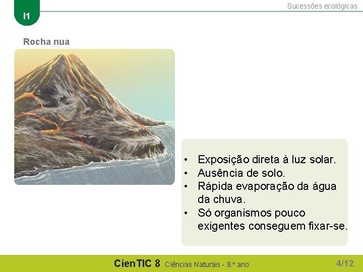 Sucessões ecológicas I 1 Rocha nua • Exposição direta à luz solar. • Ausência