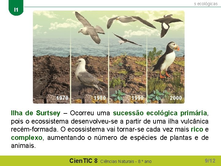 Sucessões ecológicas I 1 1970 1980 1990 2000 Ilha de Surtsey – Ocorreu uma