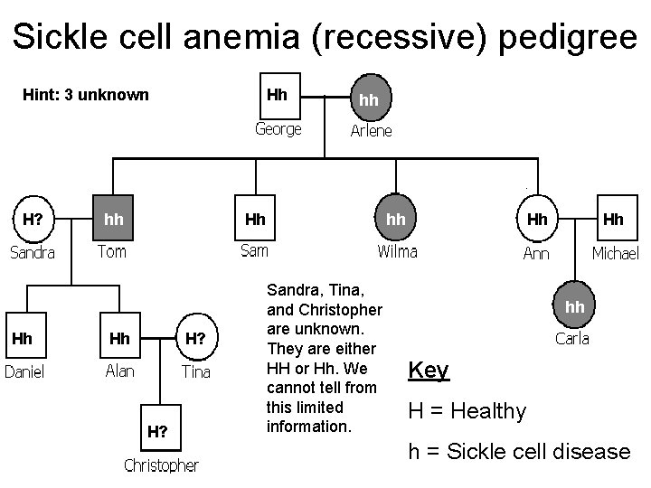Sickle cell anemia (recessive) pedigree Hint: 3 unknown H? Hh Hh hh hh Hh