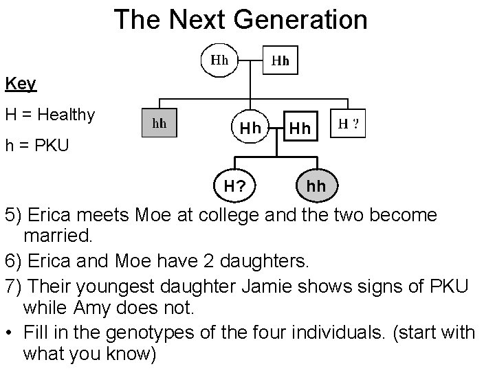 The Next Generation Key H = Healthy h = PKU Hh H? Hh hh