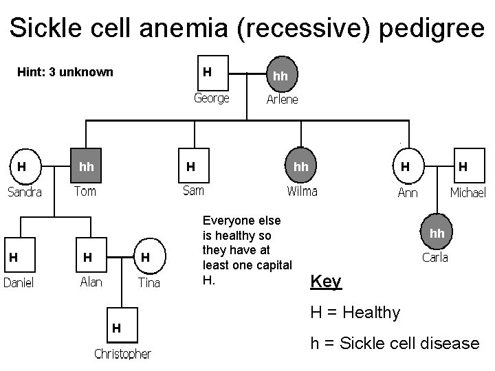 Sickle cell anemia (recessive) pedigree Hint: 3 unknown H H H hh hh H