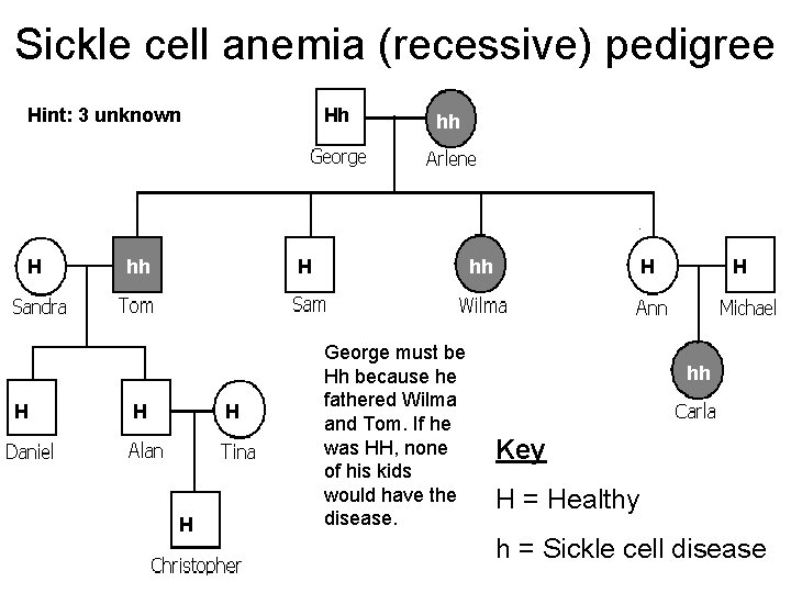 Sickle cell anemia (recessive) pedigree Hint: 3 unknown H H Hh hh hh H