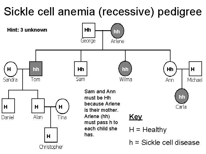 Sickle cell anemia (recessive) pedigree Hint: 3 unknown H H Hh hh hh Hh