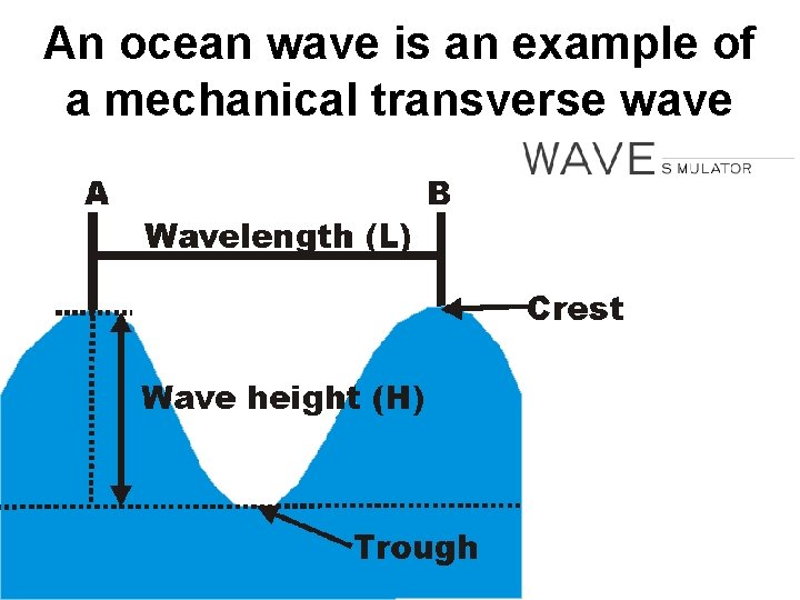 An ocean wave is an example of a mechanical transverse wave An ocean wave is an example of a mechanical transverse wave