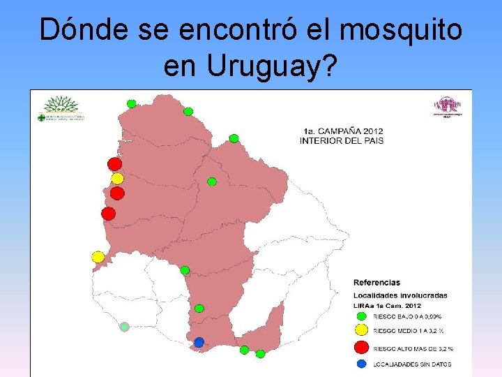 Dónde se encontró el mosquito en Uruguay? 