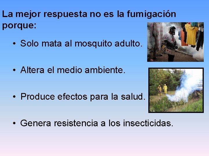 La mejor respuesta no es la fumigación porque: • Solo mata al mosquito adulto.