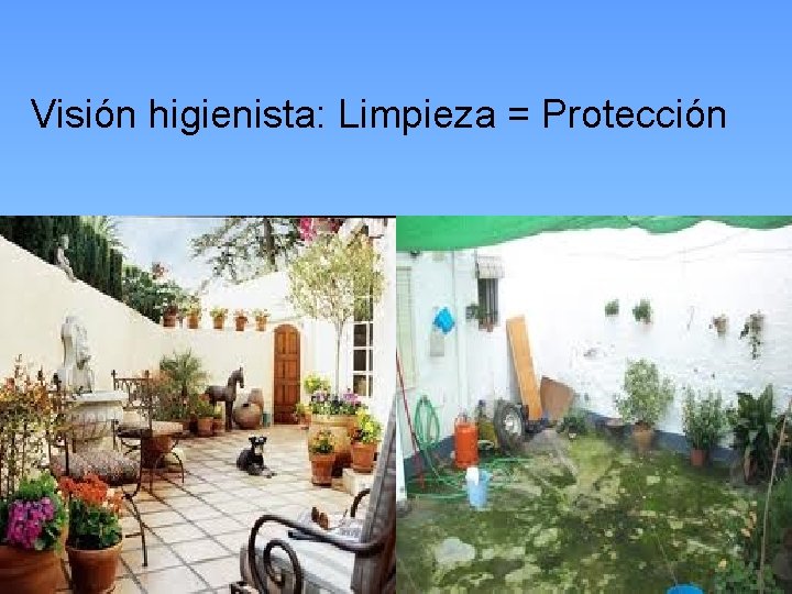 Visión higienista: Limpieza = Protección 