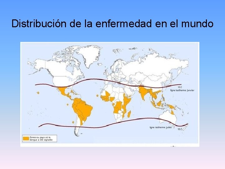 Distribución de la enfermedad en el mundo 