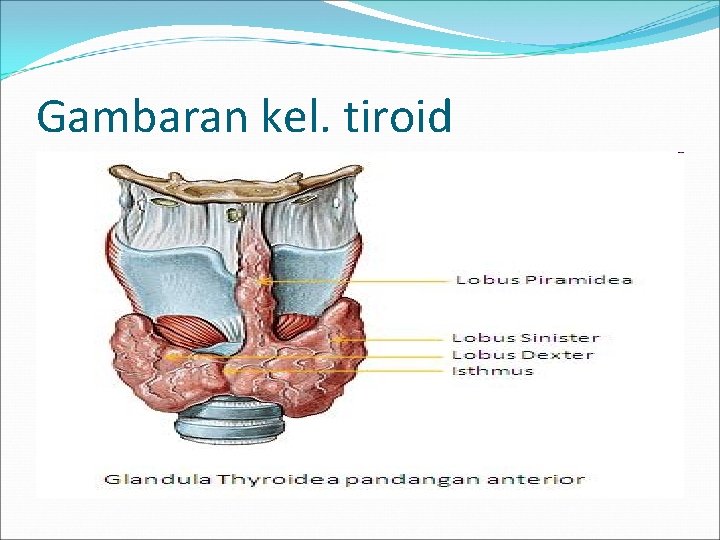 Gambaran kel. tiroid 