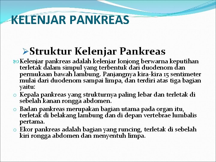 KELENJAR PANKREAS ØStruktur Kelenjar Pankreas Kelenjar pankreas adalah kelenjar lonjong berwarna keputihan terletak dalam