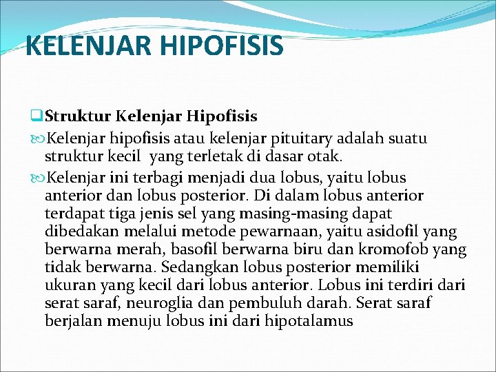 KELENJAR HIPOFISIS q Struktur Kelenjar Hipofisis Kelenjar hipofisis atau kelenjar pituitary adalah suatu struktur