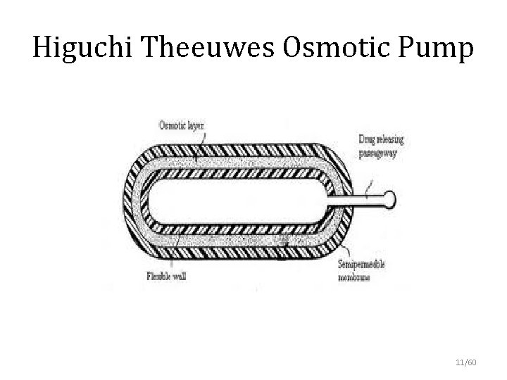 Higuchi Theeuwes Osmotic Pump 11/60 