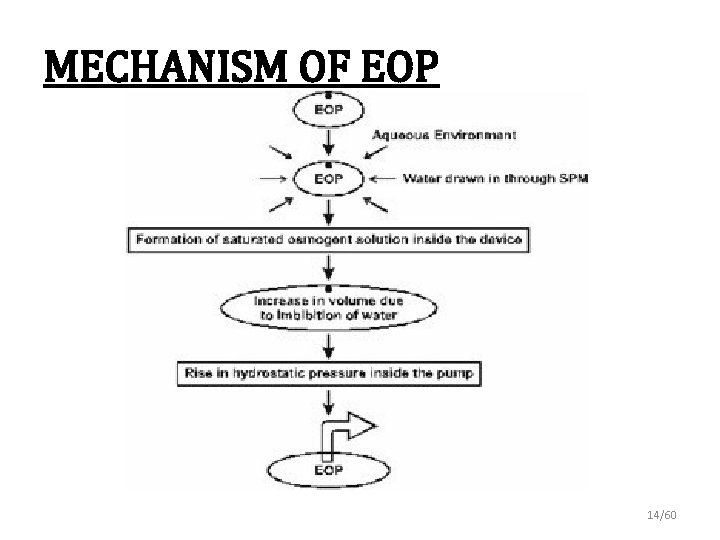 MECHANISM OF EOP 14/60 